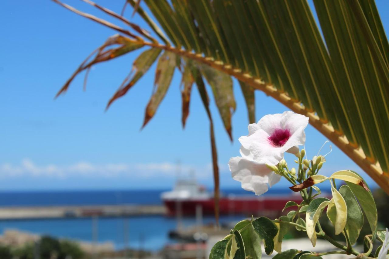 Apartamento Terraza del Atlántico, un oasis en la ciudad Santa Cruz de Tenerife Exterior foto